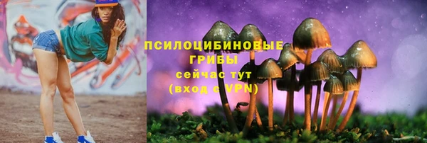дживик Баксан