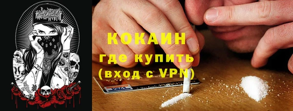 дживик Баксан